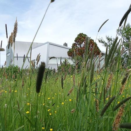 Eyvindarholt Guesthouse Álftanes Eksteriør bilde