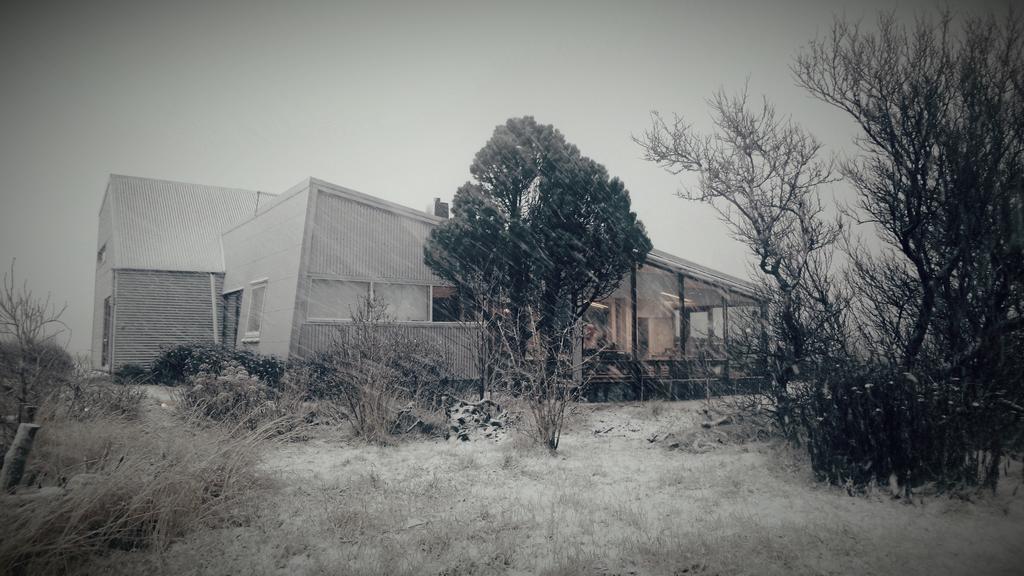 Eyvindarholt Guesthouse Álftanes Eksteriør bilde